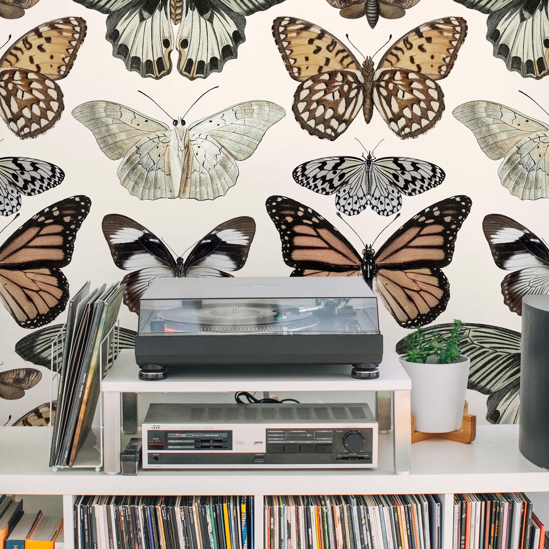 Butterflies Peel and Stick Wallpaper | Vintage Wallpaper | Bugs ...