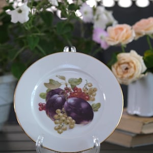 Lote de 11 platos de fruta de la colección Rosenthal Classic Rose vintage, platos de colección raros