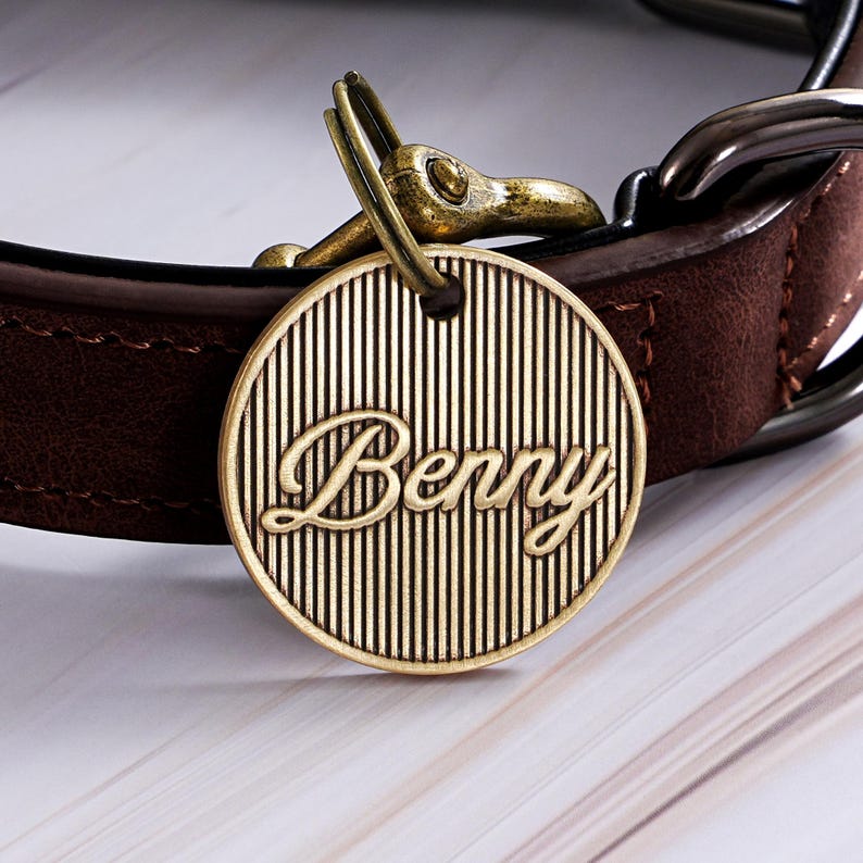 May include: A close-up of a brown leather dog collar with a gold-colored circular tag. The tag is engraved with the name "Benny" in a script font and has a striped background. The collar has a metal buckle.