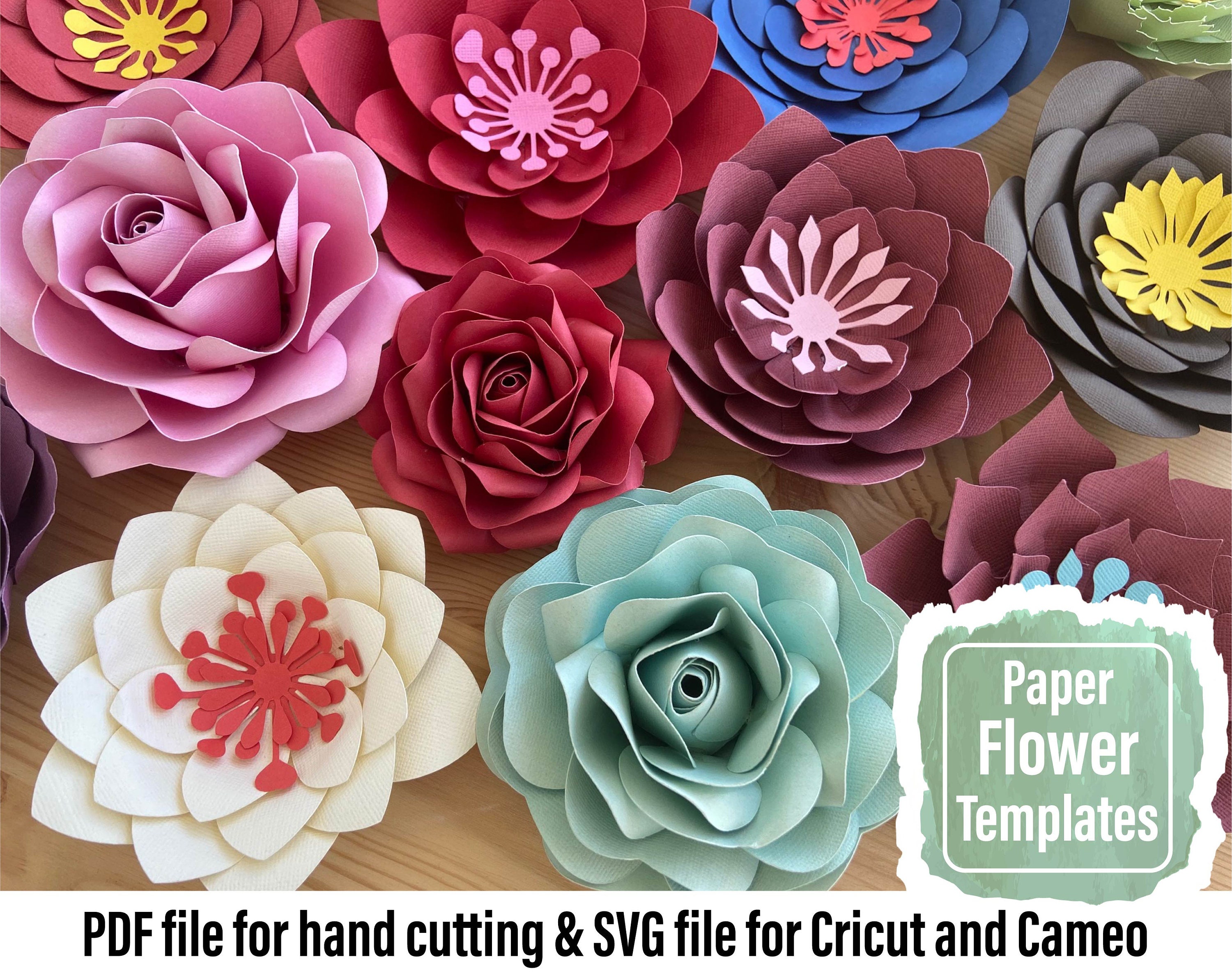 SVG Paper Flower Template, Svg Png Dxf Paper Flowers, Diy Backdrop, Flower  PDF Pattern, Cricut Silhouette , Anf Petal N13 