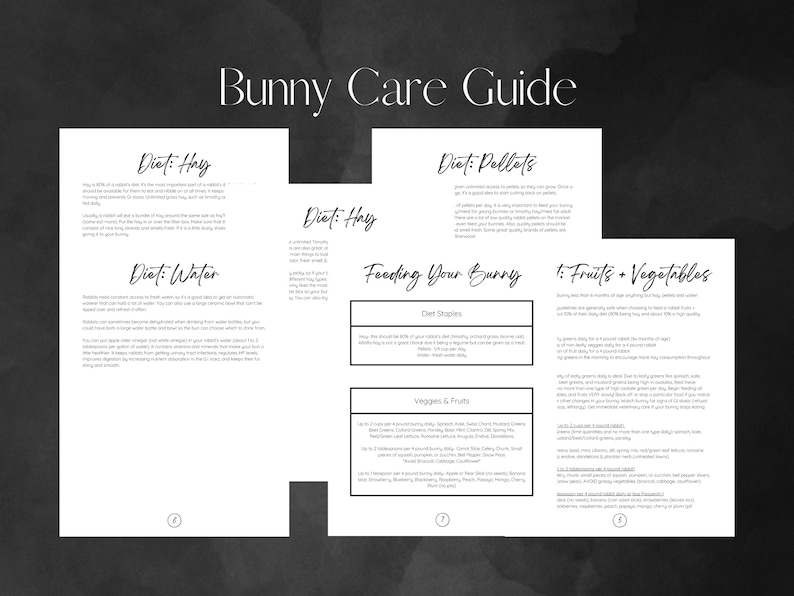 Editable Bunny Care Guide Rabbit Care Guide Digital Download 20 Pages