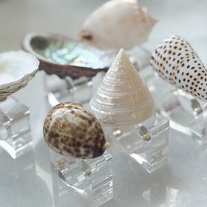 Seashell Napkin Rings;Acrylic coastal napkin ring set for beach table decor;coastal table set;coastal house warming gift;napkin ring set