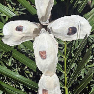 Shell cross for wall;oyster cross for home decor; cross for coastal home; oyster decor for home;house warming gift; christian decor for home