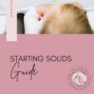 Starting Solids E-Guide (100 Foods Before One, Baby Led Weaning, Starting Solids, First Foods Checklist, Meal Plan + Allergens)