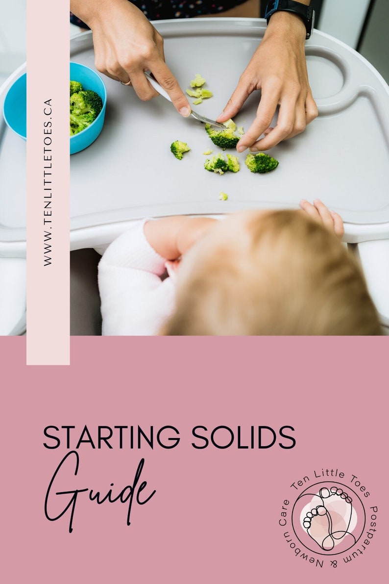 Starting Solids E-Guide 100 Foods Before One Baby Led image 1