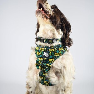 Bit of a pr**k harness