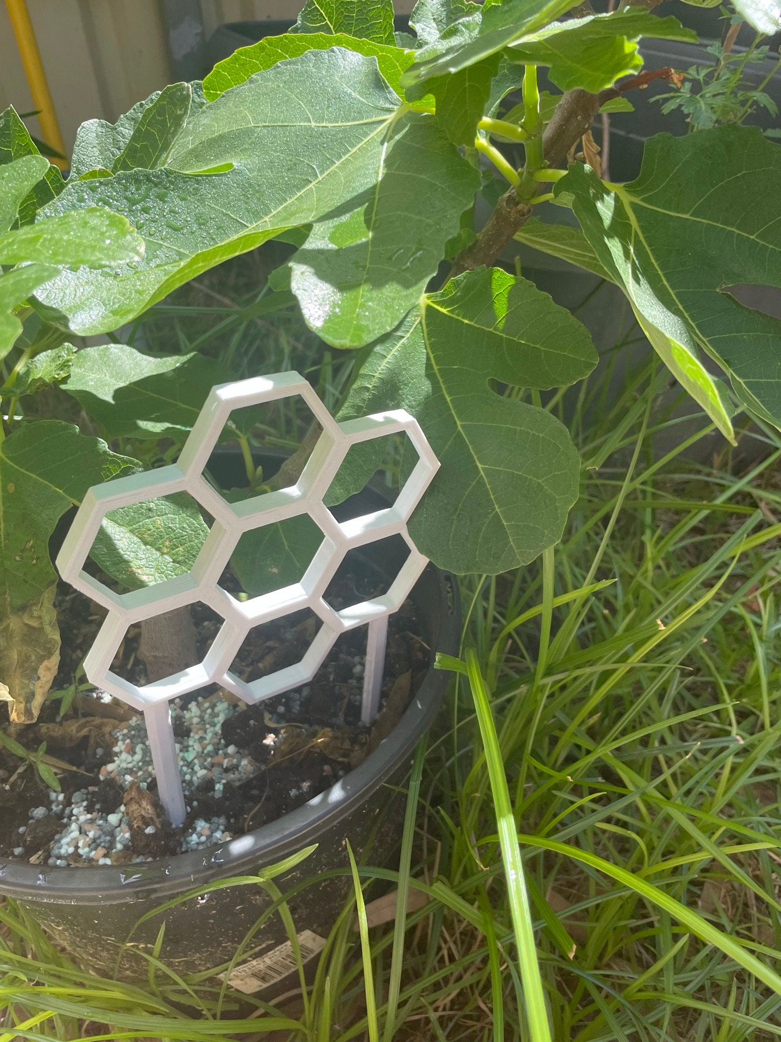 Treillis/décorations de jardin