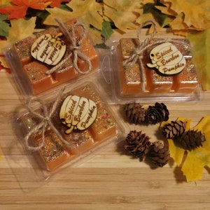Spiced Bourbon Pumpkin Waxmelts Wax Melts handmade with 10% Fragrance Oil, Autumn, Fall, Pumpkin, Personalized, Gift