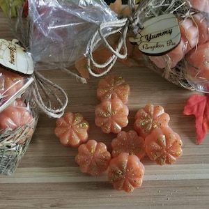Yammy Pumpkin Pie Waxmelts Wax Melts handmade with 10% fragrance oil, autumn, fall