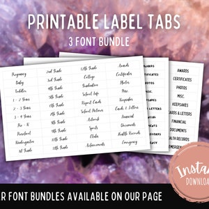 Milestone Tote Labels - INSTANT DOWNLOAD