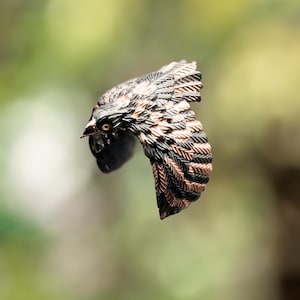 Luxury Handmade Silver Eagle Unisex Ring with Champagne Gemstone, Rose and Black Rhodium Finish, American Eagle Ring, Animal Lovers Gift