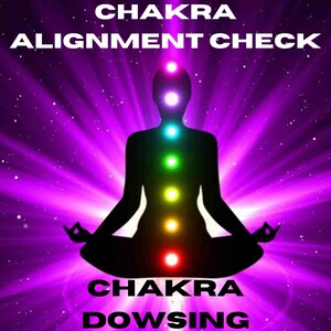 Può includere: Una silhouette di una persona seduta in una posizione meditativa con sette chakra luminosi, che rappresentano i centri di energia del corpo. Lo sfondo è di un viola vibrante con un motivo a stella. Il testo "Chakra Alignment Check" e "Chakra Dowsing" è visualizzato sopra e sotto la figura.