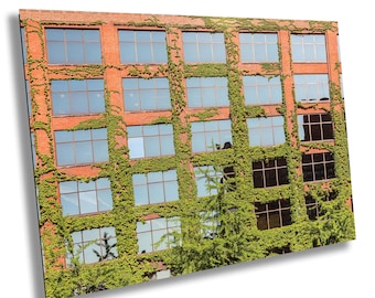 Chicago Red Brick Architecture Print, Ivy Wall Office Decor, Urban Botanical Building Photography, Modern Industrial Cityscape Art