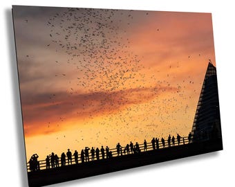 Bat Flight at Sunset — Congress Avenue Bridge, Austin | Iconic Texas Wildlife Wall Art