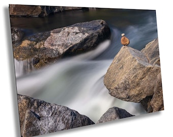 Balancing Stones Over Rushing River – powerful meditative wall art print capturing harmony, resilience, and serenity amid nature’s chaos