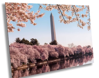 Cherry Blossom Washington Monument Print: Tidal Basin Sunrise Reflection