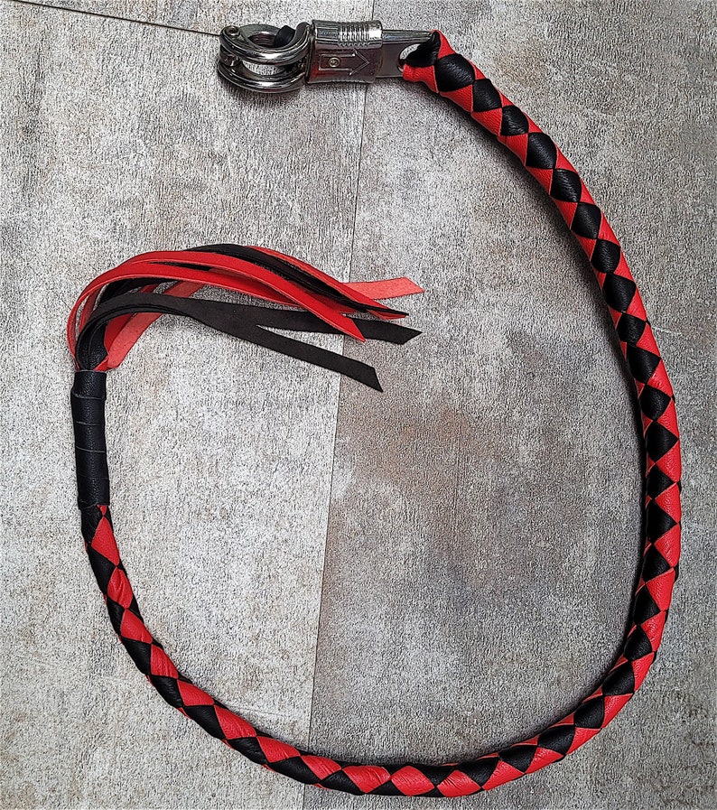 motorcycle handlebar whip