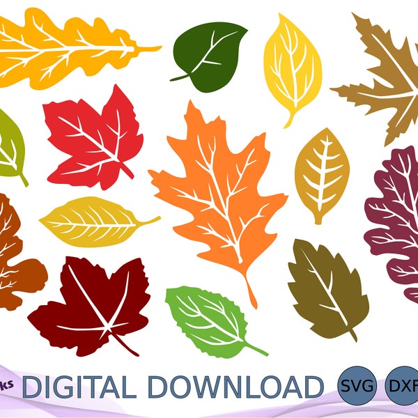 Fall Leaves SVG DXF EPS, Autumn Leave Bundle, Leaf Clipart, Laser Cut File for Cricut, Glowforge File, Hello Fall, Halloween Silhouette