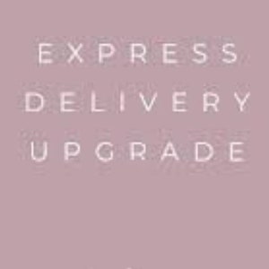May include: White text on a light purple background reads "EXPRESS DELIVERY UPGRADE".