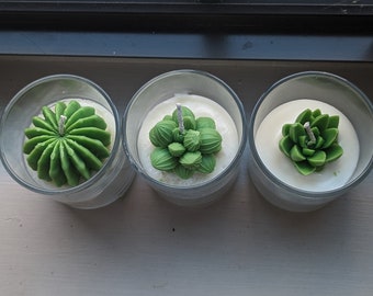 4オンス多肉植物キャンドル
