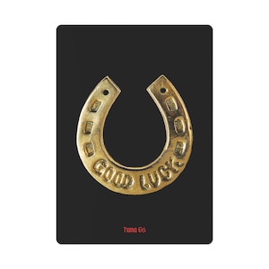 Carte da gioco LUCKY HORSESHOE