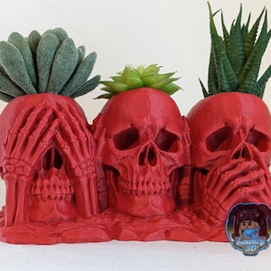 Plantador suculento de 3 calaveras: no escuches el mal, no hables el mal, no veas el diseño del mal/jardinería interior/maceta de jardinera/maceta pequeña