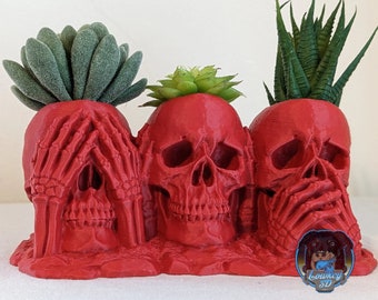 3 Skull Succulent Planter - Hear No Evil, Speak No Evil, See No Evil Design| Indoor Gardening | Planter Pot| Small Plant Pot