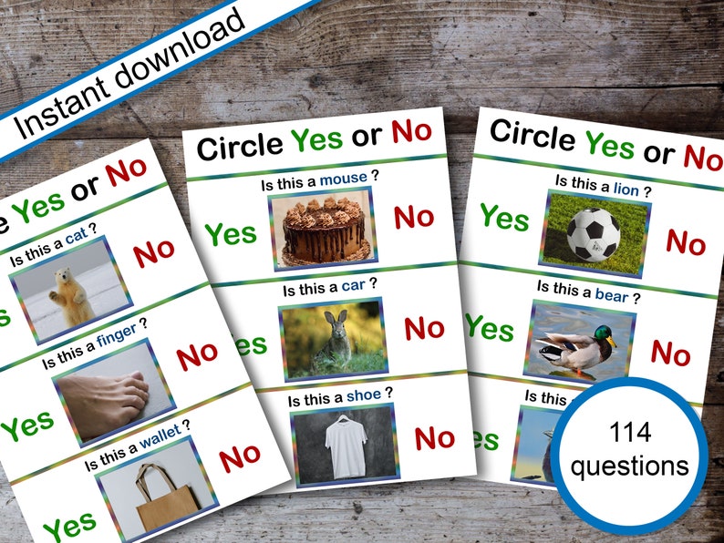 Yes Include Us Yes or No Questions for Speech Therapy, Autism Activity, Non Verbal ...