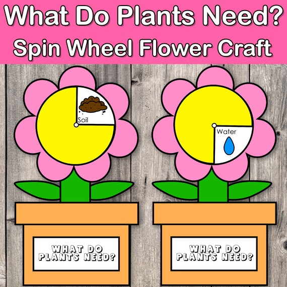 What a Flower Needs to Grow, Preschool Curriculum, Learning About Plants,  Flower Craft, Spring Activity, Homeschool Printables, Educational - Etsy