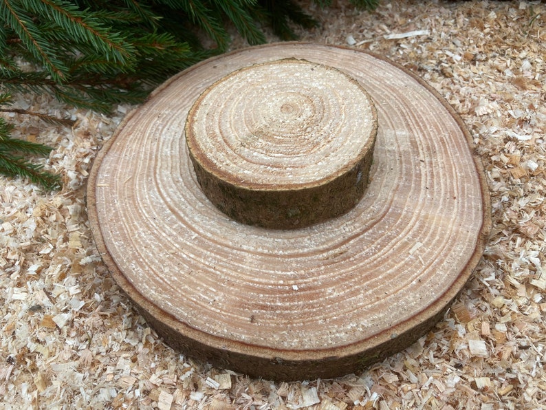 Norway Spruce Wood Slices | Natural Rustic Pine Log Rounds | Wedding ...