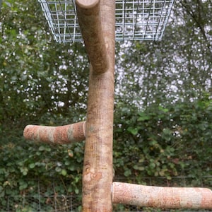 May include: A wooden bird perch with multiple branches, designed for hanging from a cage. The perch is made of natural wood with a brown and grey bark-like texture.