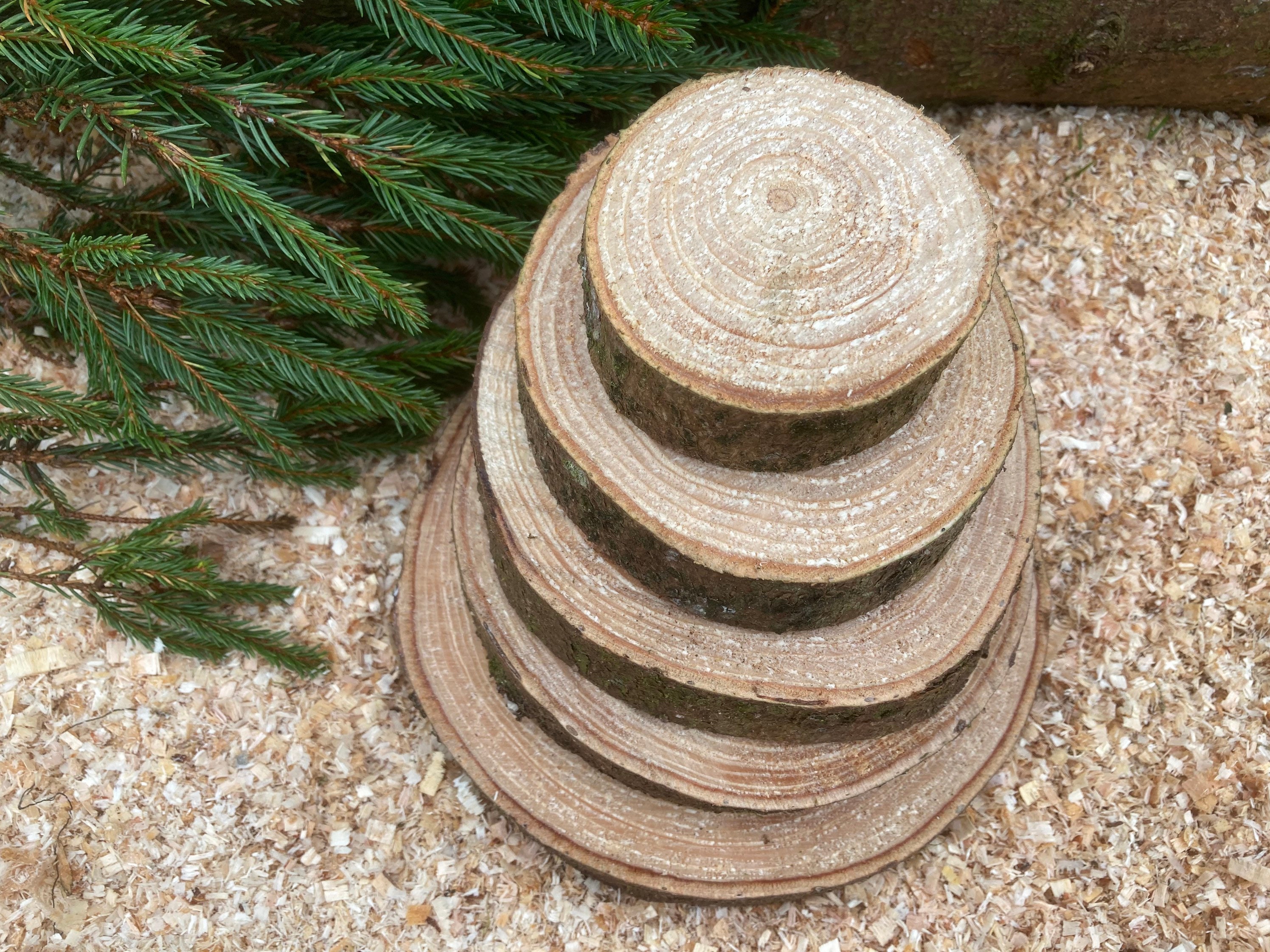 Norway Spruce Wood Slices | Natural Rustic Pine Log Rounds | Wedding ...