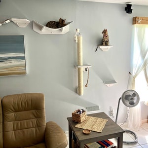 Tiragraffi per gatti montato a parete con ripiano Mobili per gatti Montato a parete su palo in sisal Mobili per graffiare gatti da arrampicata Tiragraffi per gatti