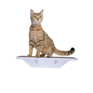 大型猫用棚、猫用家具、猫用クライミングウォールシェルフ、動物愛好家へのギフト