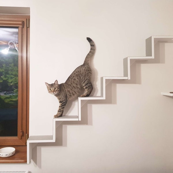 Ensemble de marches pour chat 3 pcs. Mur de promenade pour chat, marches pour chat, meubles muraux pour chat, étagères murales d’escalade pour chat, échelle pour chat pour cadeau mural pour chats