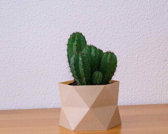 Indoor wood planter