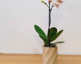 Indoor planter, planter gift