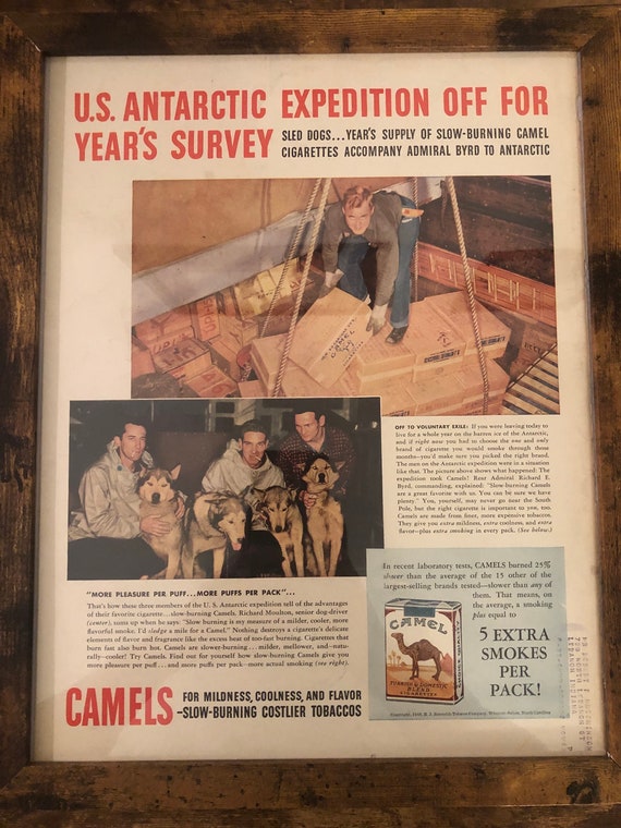 camel cigarettes history of Framed Vintage 1940 Camel Cigarettes