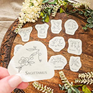 Födelsemånad Blomster Stick and Stitch: Födelsedag Stjärntecken Astrologi Tvätta bort Lösliga Mönster