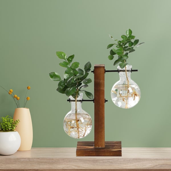 Hydroponic Bulb Vase Etsy