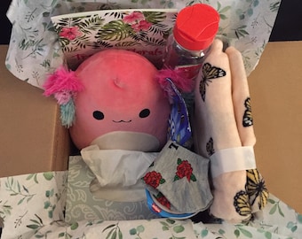 care package stuffed animal