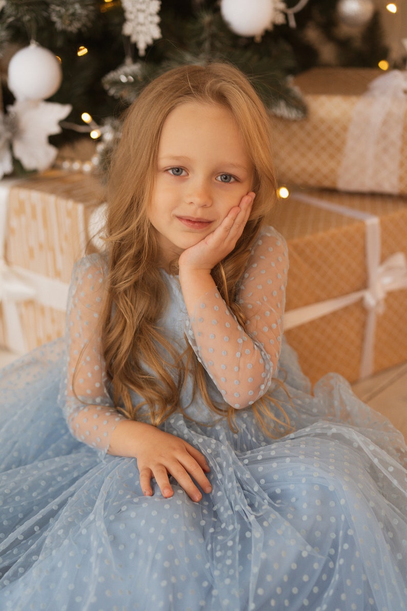 Baby Blue Flower Girl Dresses Tulle Birthday Dress Toddler Etsy