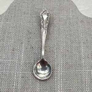 May include: A silver salt spoon with an ornate handle. The spoon has a rounded bowl and a decorative design on the handle.