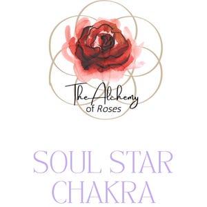 May include: A watercolor illustration of a red rose inside a geometric pattern with the text "The Alchemy of Roses" and the words "Soul Star Chakra Activation Guide" below.