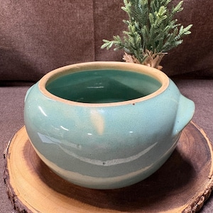 May include: A round, light blue ceramic bowl with two small handles. The bowl sits on a wooden slice with a natural bark edge. A small evergreen tree is in the background. The bowl has a light green interior.