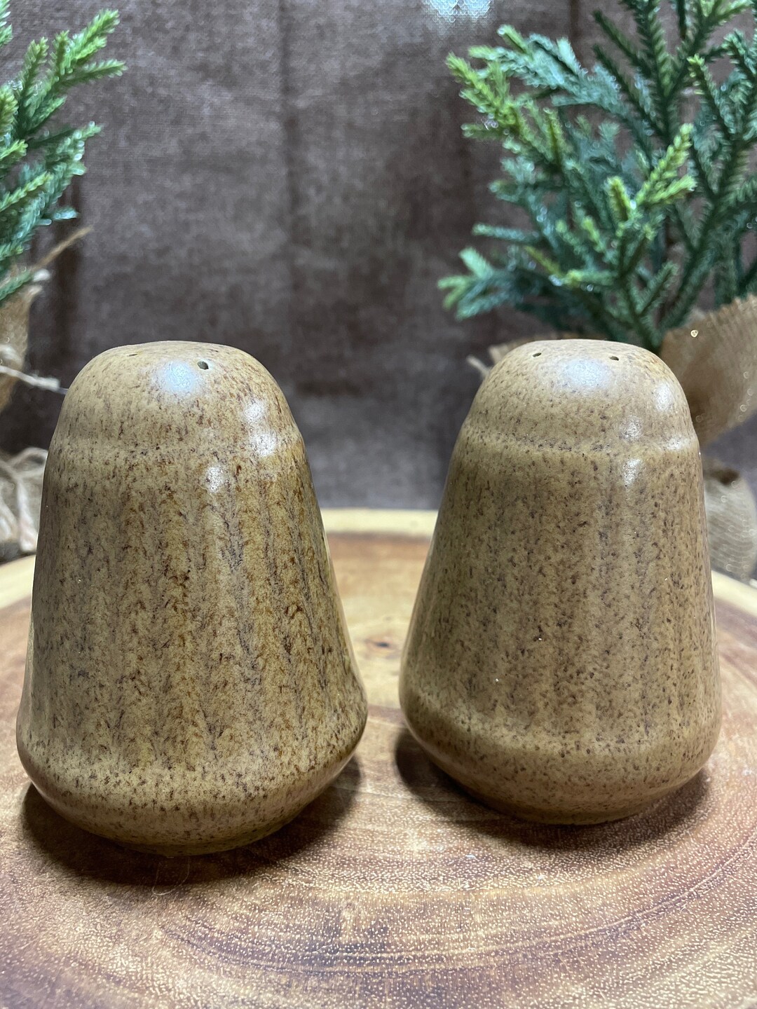 Hardy Salt & Pepper Shakers by Monmouth Western Pottery Etsy