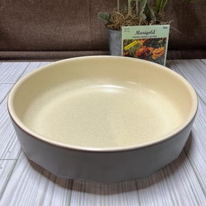 Mikasa “Indian Feast” collection oven to table stoneware bowl/ dish