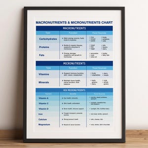 May include: A chart titled "Macronutrients & Micronutrients Chart" with a blue and white colour scheme. The chart is divided into three sections: Macronutrients, Micronutrients, and Key Micronutrients. Each section lists the type, function, and food sources of the nutrients.