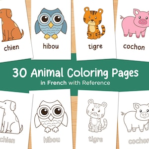 Animal Coloring in French, Coloring Worksheet for Kids, Animal Flashcards in French, Preschool Activity, Coloring Pages for Kindergarten