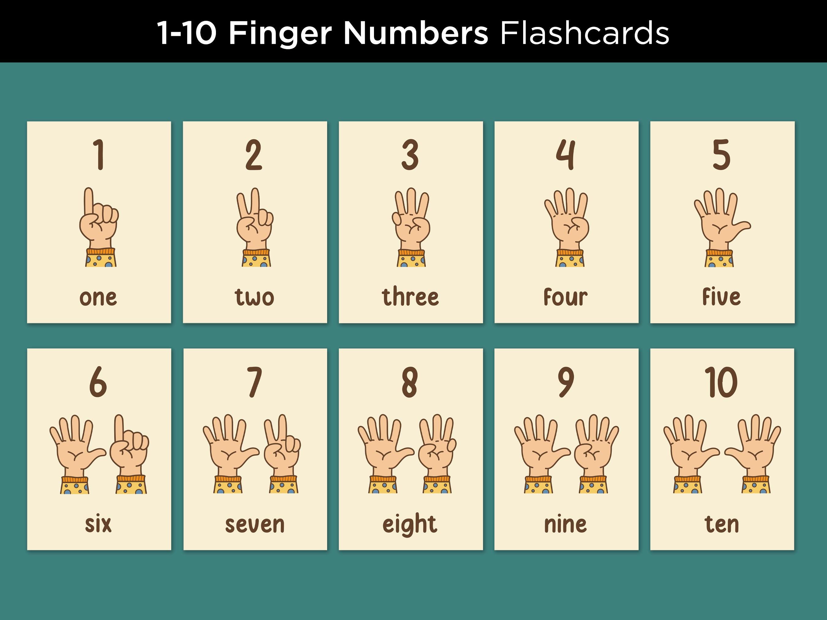 Finger Counting Number Flash Cards, Homeschool Printable (PDF) - Etsy